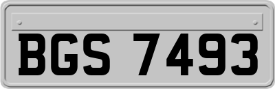 BGS7493