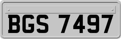 BGS7497
