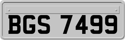 BGS7499