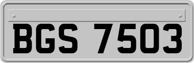 BGS7503