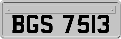 BGS7513
