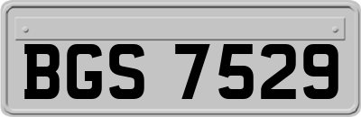 BGS7529