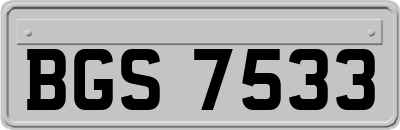 BGS7533