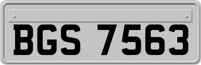 BGS7563