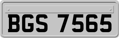 BGS7565