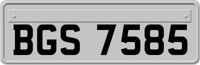 BGS7585