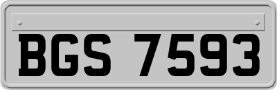 BGS7593