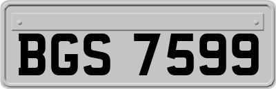 BGS7599