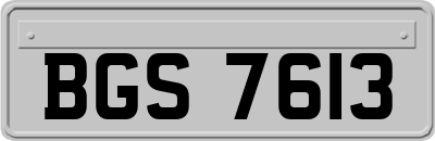 BGS7613