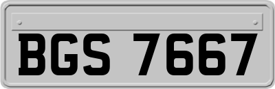 BGS7667