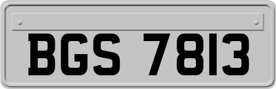 BGS7813