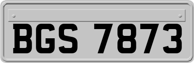BGS7873