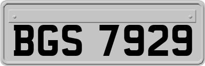 BGS7929