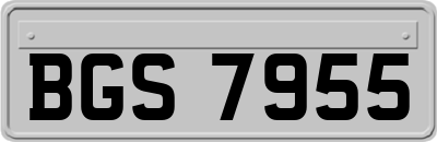 BGS7955