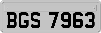 BGS7963