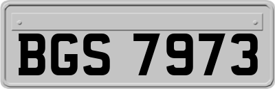 BGS7973