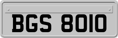 BGS8010