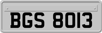 BGS8013