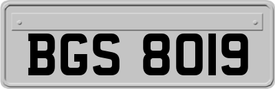BGS8019