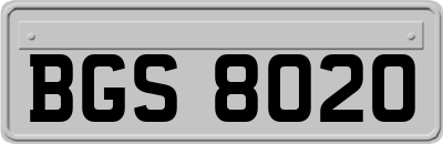 BGS8020