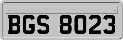 BGS8023
