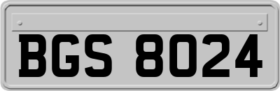 BGS8024