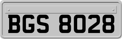 BGS8028