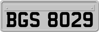 BGS8029