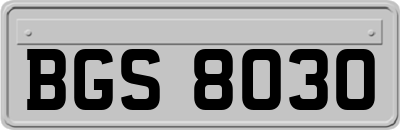 BGS8030