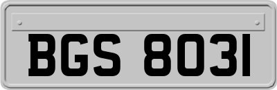 BGS8031