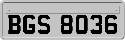 BGS8036