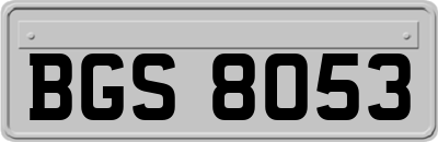 BGS8053