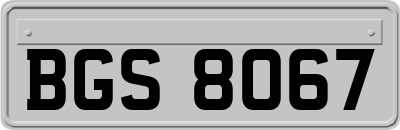 BGS8067
