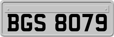 BGS8079
