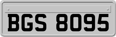 BGS8095