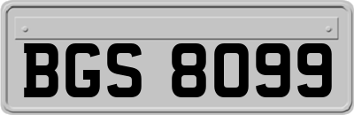 BGS8099