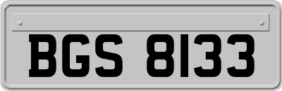 BGS8133