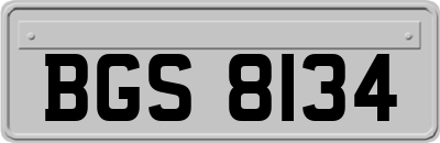 BGS8134