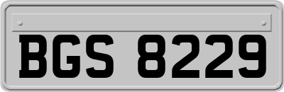 BGS8229