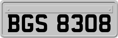 BGS8308
