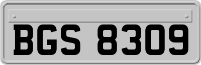BGS8309