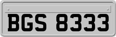 BGS8333