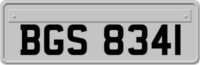 BGS8341