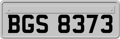 BGS8373