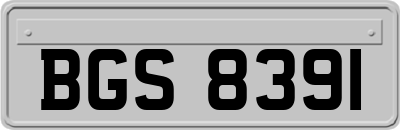 BGS8391