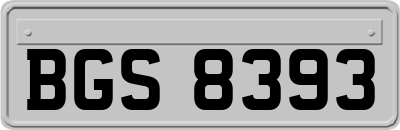 BGS8393
