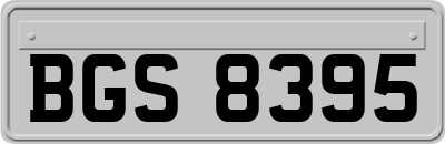BGS8395