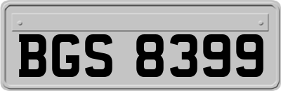 BGS8399