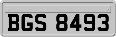 BGS8493