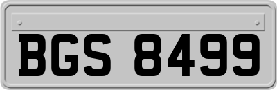 BGS8499